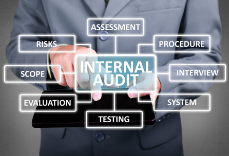 IT Audit, Risk and Compliance Service