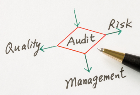 IT Audit, Risk and Compliance Service